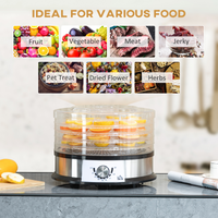 5 Tier Food Dehydrator 250W Stainless Steel Food Dryer 35–70°C Silver UK