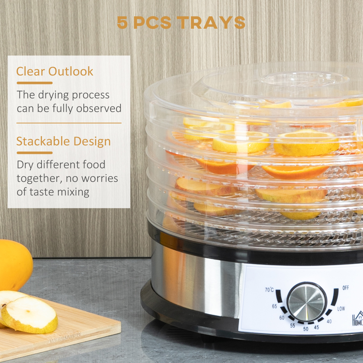 5 Tier Food Dehydrator 250W Stainless Steel Food Dryer 35–70°C Silver UK