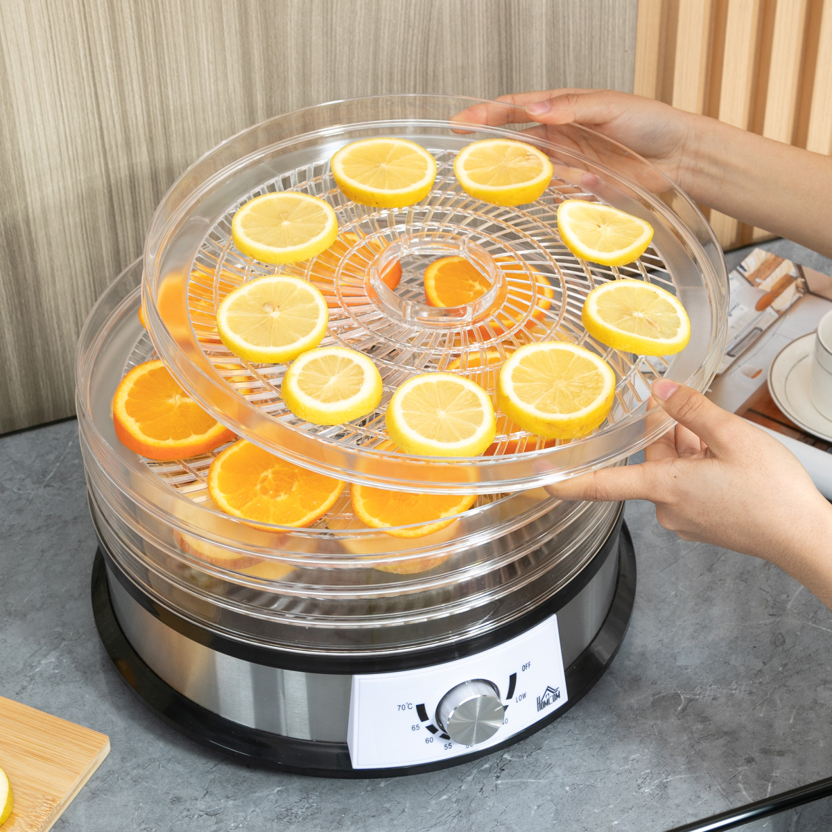 5 Tier Food Dehydrator 250W Stainless Steel Food Dryer 35–70°C Silver UK