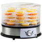 5 Tier Food Dehydrator 250W Stainless Steel Food Dryer 35–70°C Silver UK